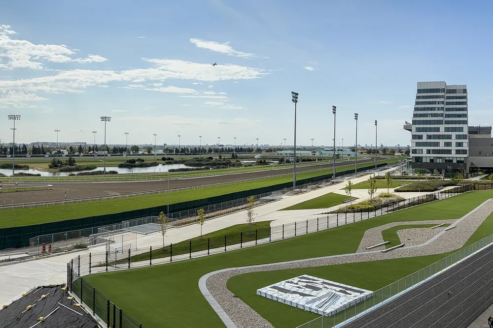 Woodbine racetrack seen from the grandstand